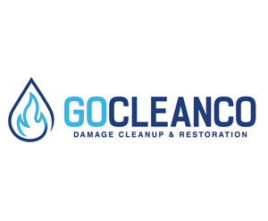 Go-Cleanco-Restoration-Franchise-Opportunity-300x247